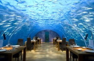 maldive ristorante subacqueo