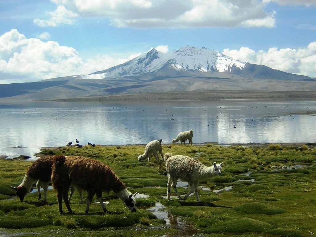 Lago Chungarà (Cile)