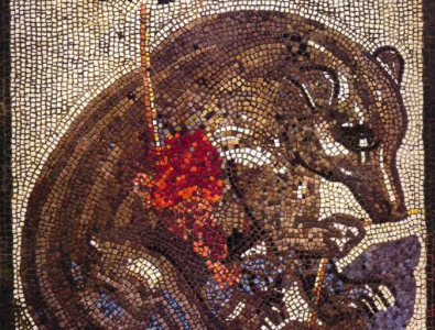 Mosaico della Casa dell'Orso Ferito, Riapertura Pompei