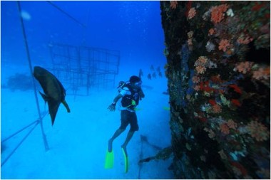Diving Concierge, Angsana Ihuru, Maldive