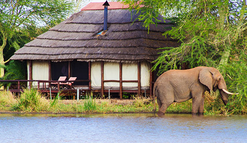 Kruger national park, Sudafrica