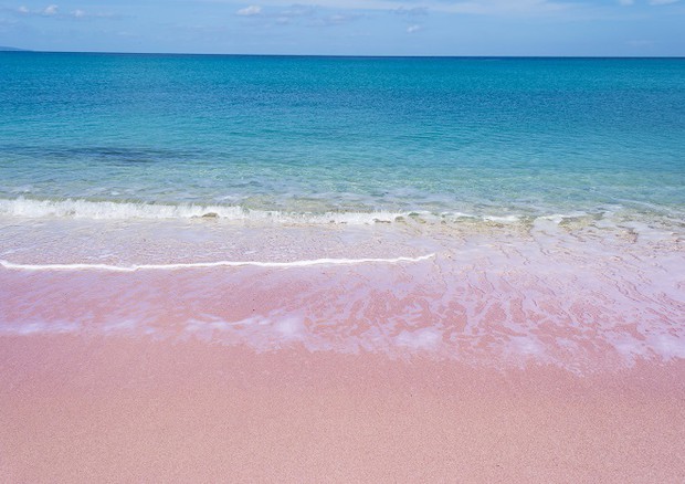 Imperdibile Sardegna Ecco Le 15 Spiagge Piu Belle Dell Isola