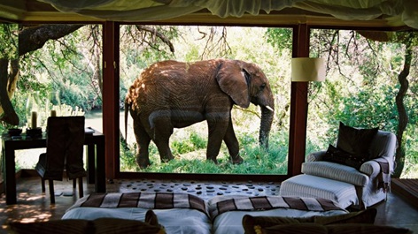 Madikwe Game Reserve, South Africa