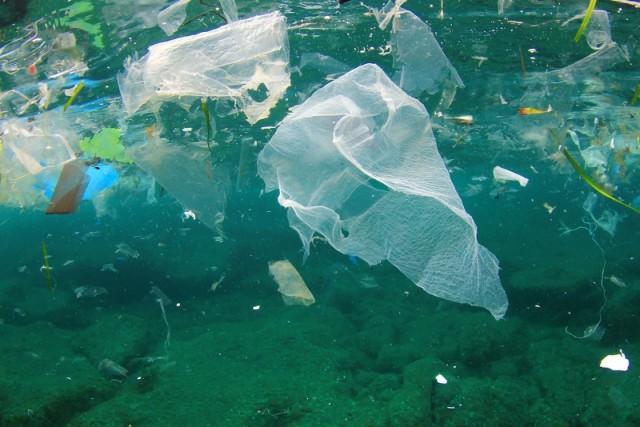 Rifiuti di plastica nel mare