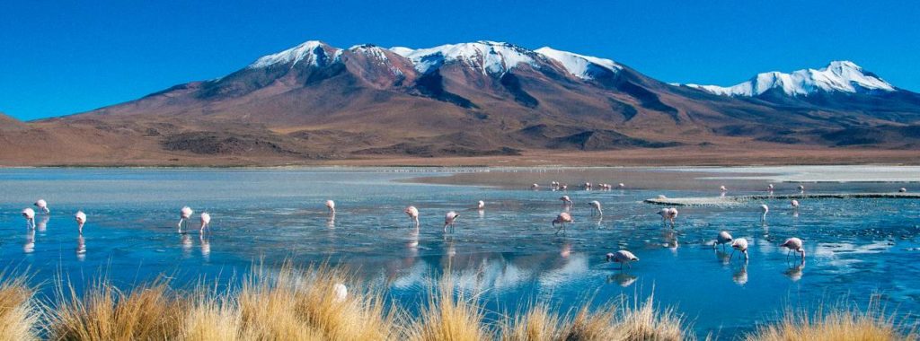 Altiplano Bolivia 