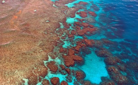 Grande barriera corallina, Australia stanzia 60 mln per la sua salvaguardia
