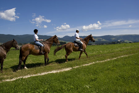 Veneto, in programma sviluppo del turismo equestre e delle ippovie