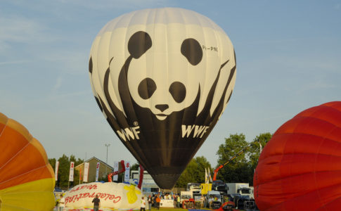 Nasce WWF Travel: l'obiettivo di un turismo naturalistico e responsabile