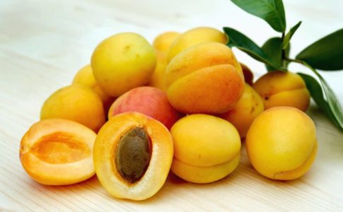 albicocca frutta trendy 2018