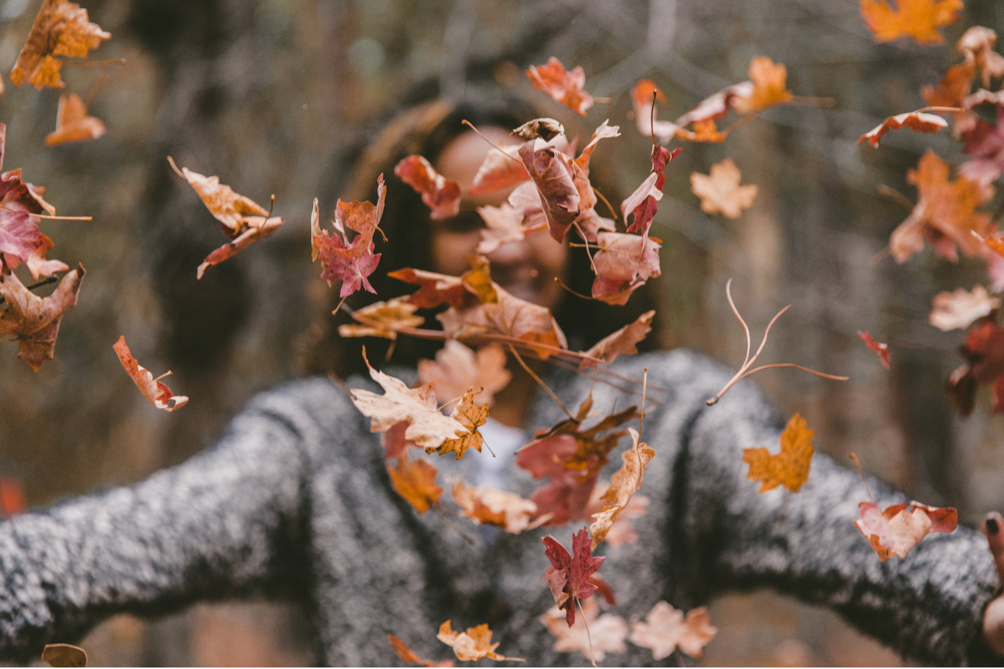 5 Luoghi Dove Vivere La Magia Del Foliage In Veneto Tgtourism