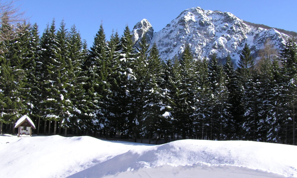 Montagna con neve. Fonte: Valli Parco dell'Aveto
