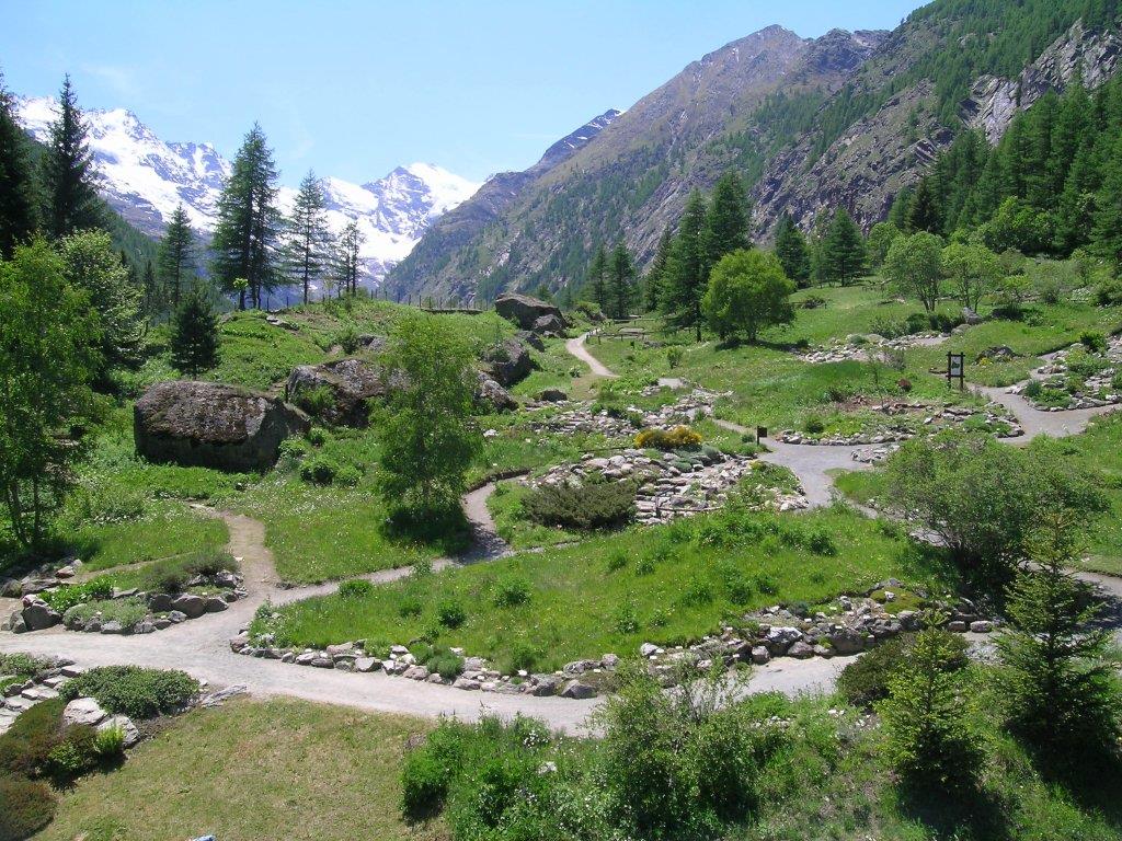 Giardini botanici alpini. Fonte Love Val D'Aosta.