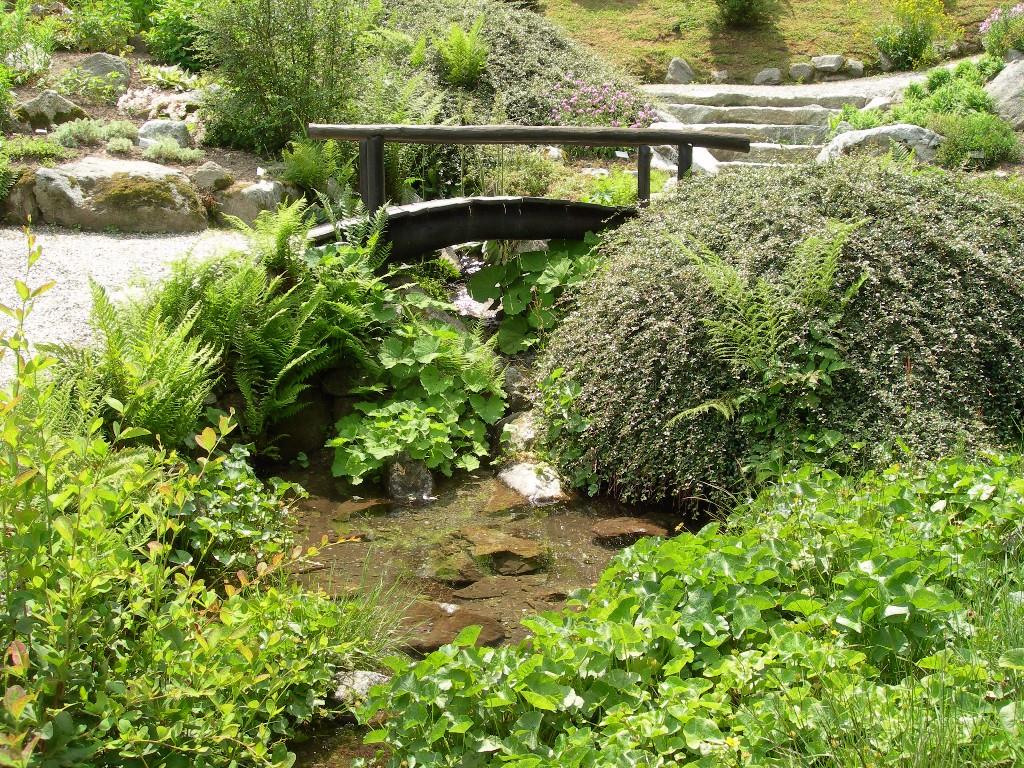 Giardini botanici alpini. Fonte Love Val D'Aosta.