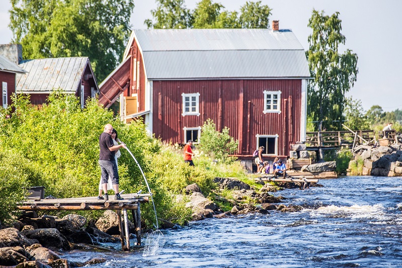 Pesca al coregone a Kukkola © Linnea Isaksson.