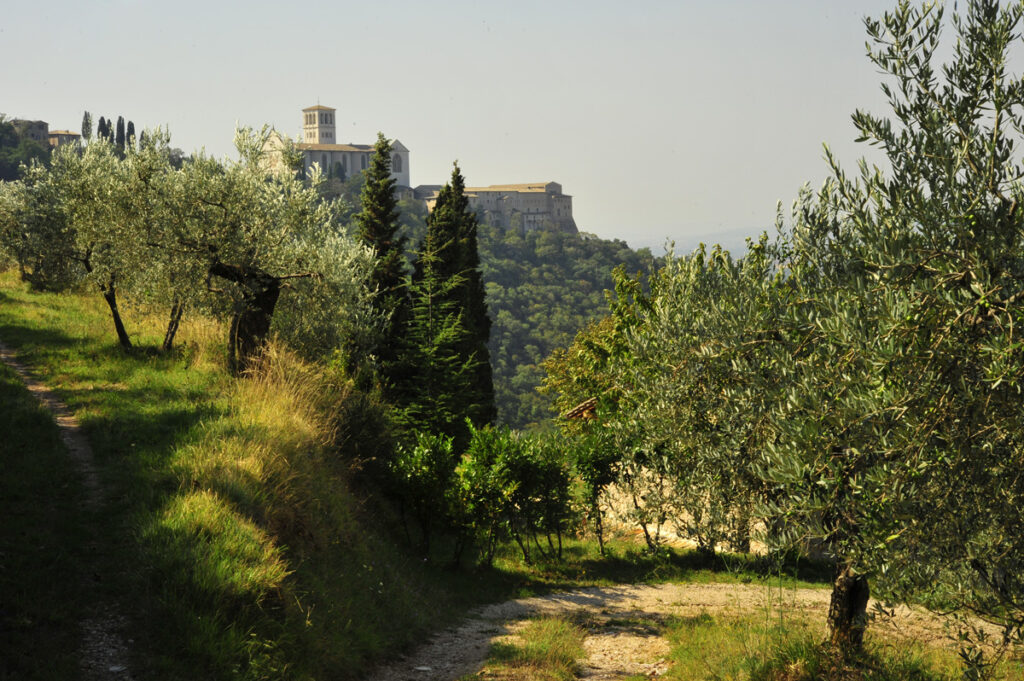Bosco di San Francesco, Assisi PG - Foto di Maja Galli, 2009 © FAI