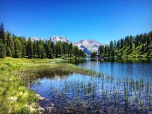 Passeggiate in Trentino Fonte: Visit Trentino