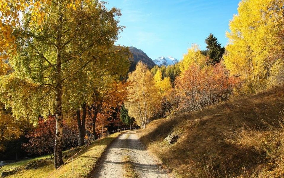 Valle d'Aosta autunno