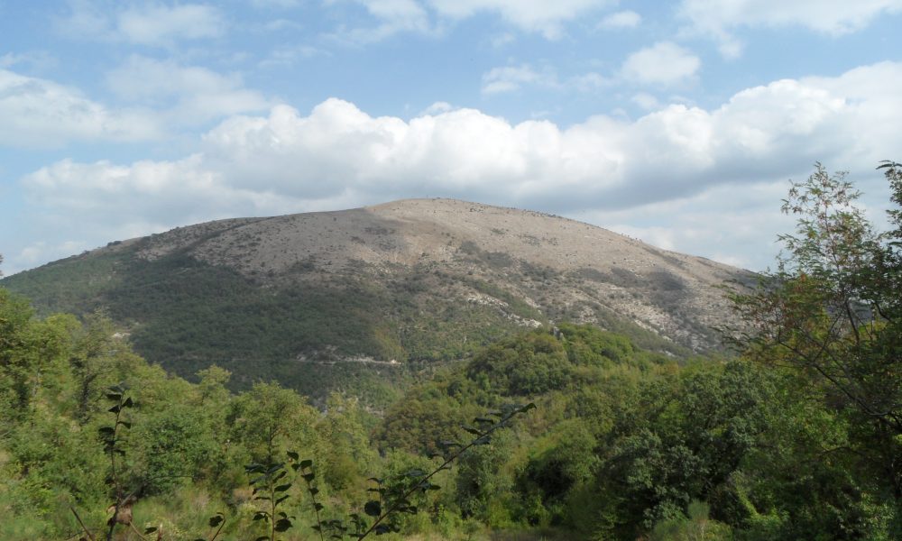 Monte Acuto